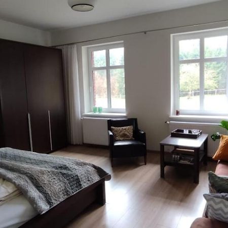 Zacisze Pod Bukami Apartamento Gornica Exterior foto