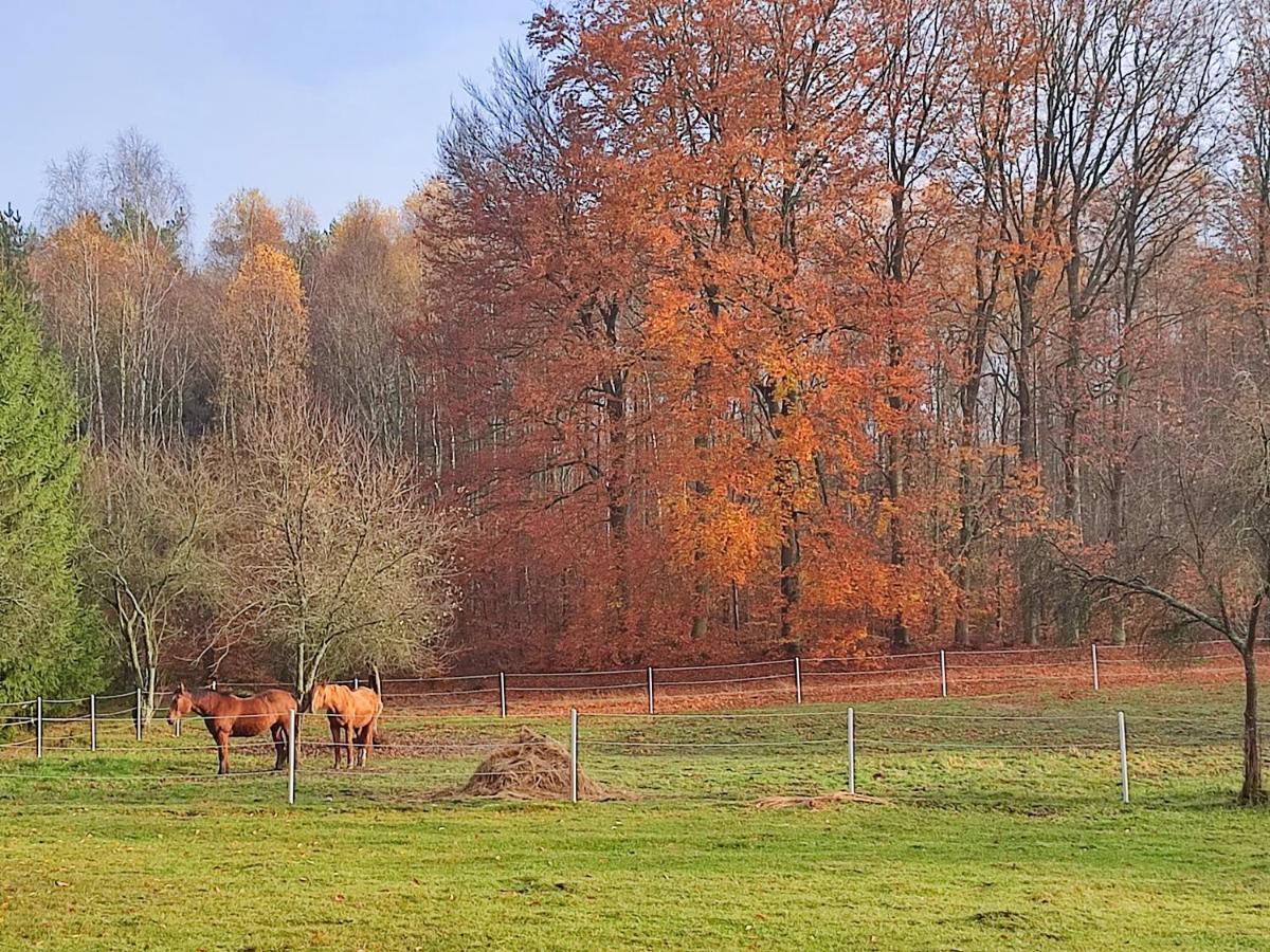 Zacisze Pod Bukami Apartamento Gornica Exterior foto